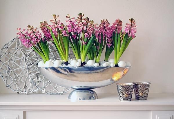 kompozycje kiwatowe.jpg