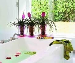 kompozycje kiwatowe.jpg