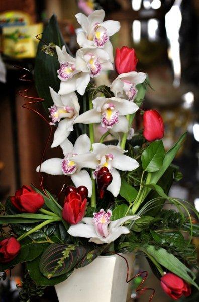 kompozycje kiwatowe.jpg