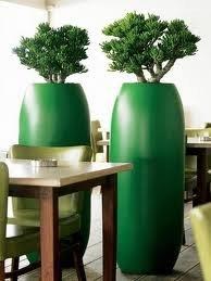 kompozycje kiwatowe.jpg