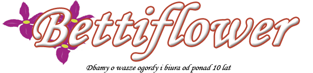Logo serwisu Bettiflower.pl